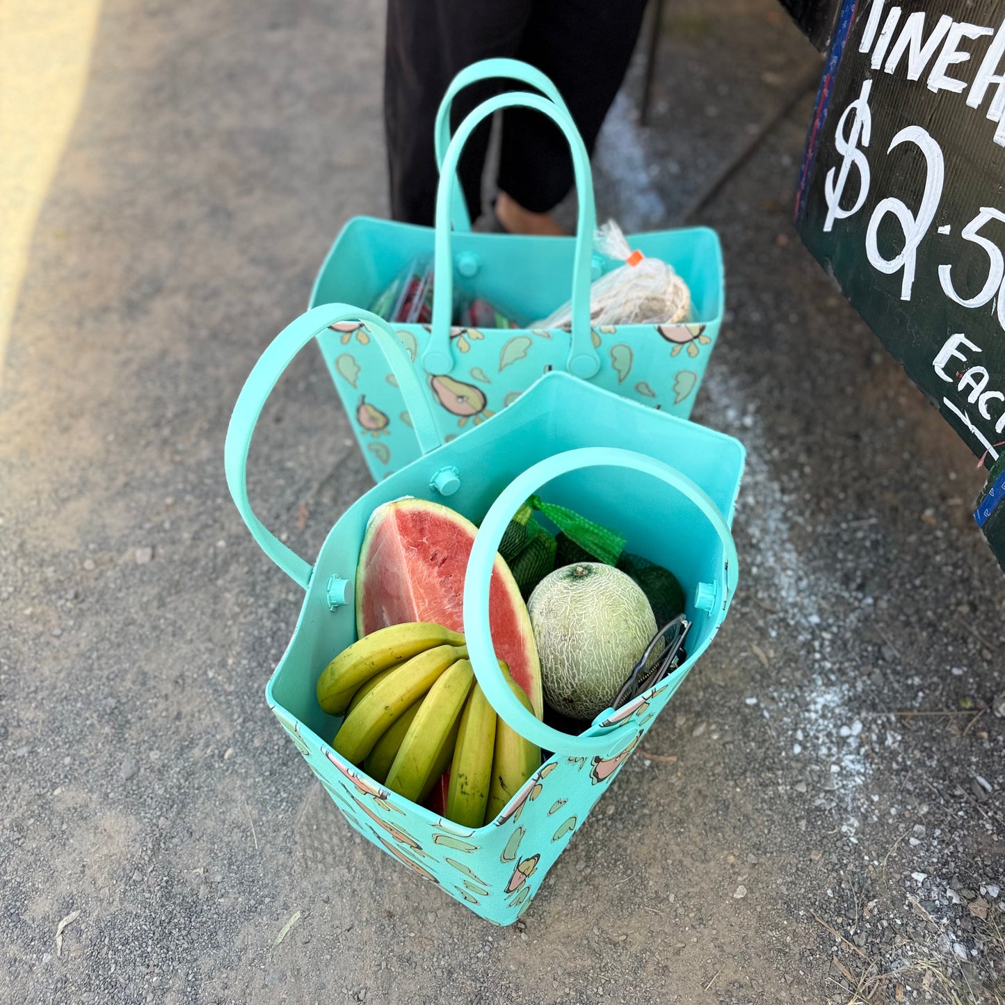 2 TOTE FAMILY LIFESTYLE SET