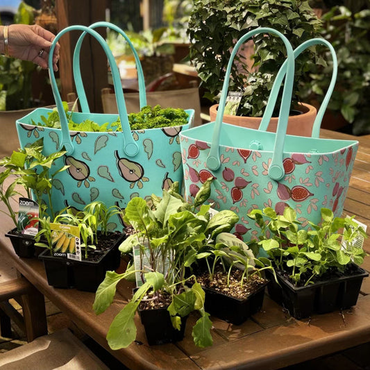 2 TOTE FAMILY LIFESTYLE SET